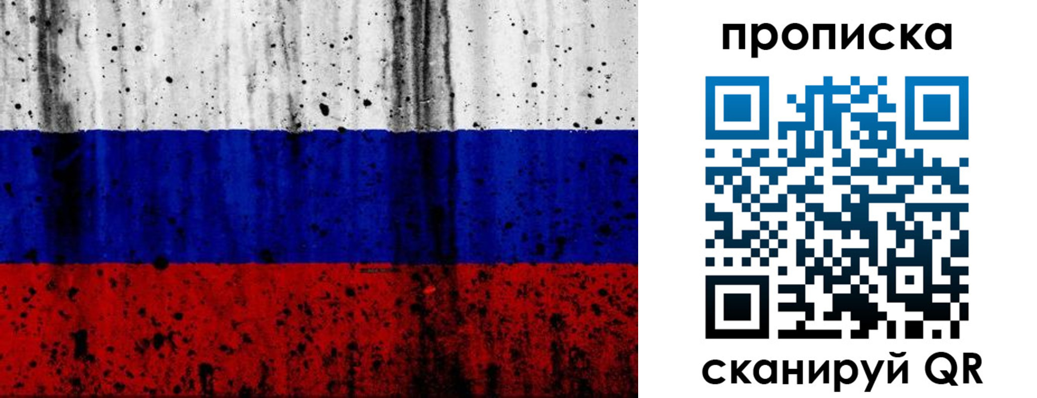 прописка поиск в Нелидово